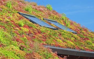 Rogerton living roof systems